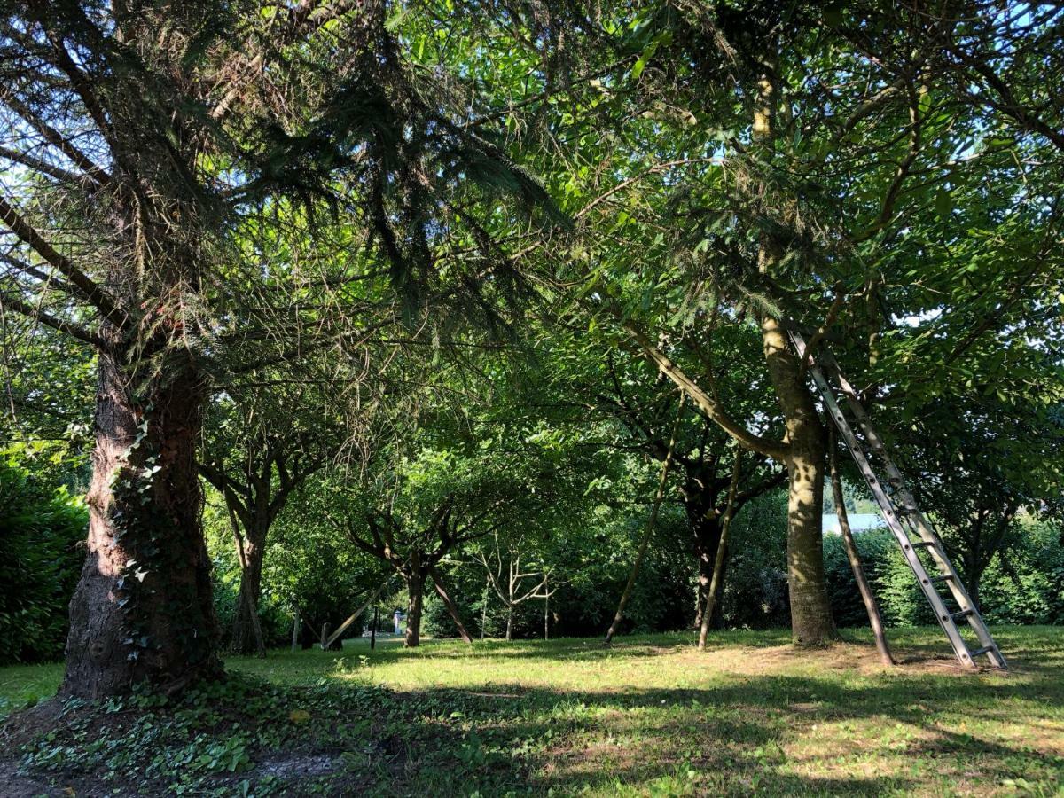 Aux Lettres Du Lavoir La Rivière-Saint-Sauveur Kültér fotó