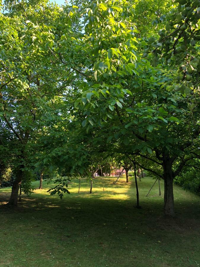 Aux Lettres Du Lavoir La Rivière-Saint-Sauveur Kültér fotó